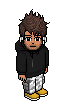 Loic